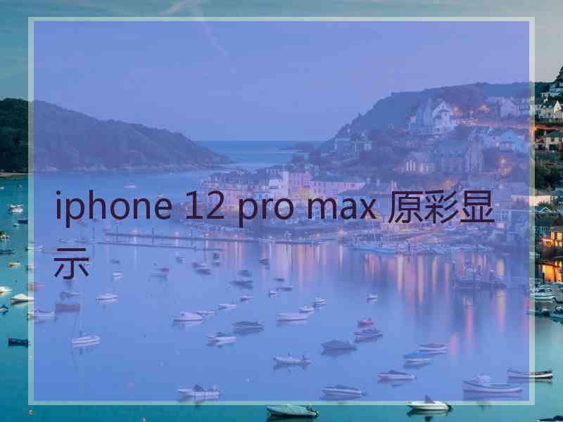 iphone 12 pro max 原彩显示