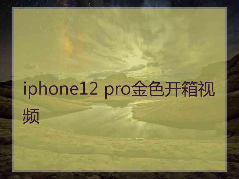 iphone12 pro金色开箱视频