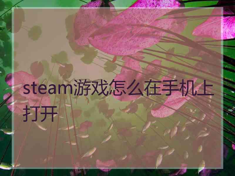 steam游戏怎么在手机上打开