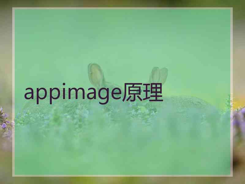 appimage原理