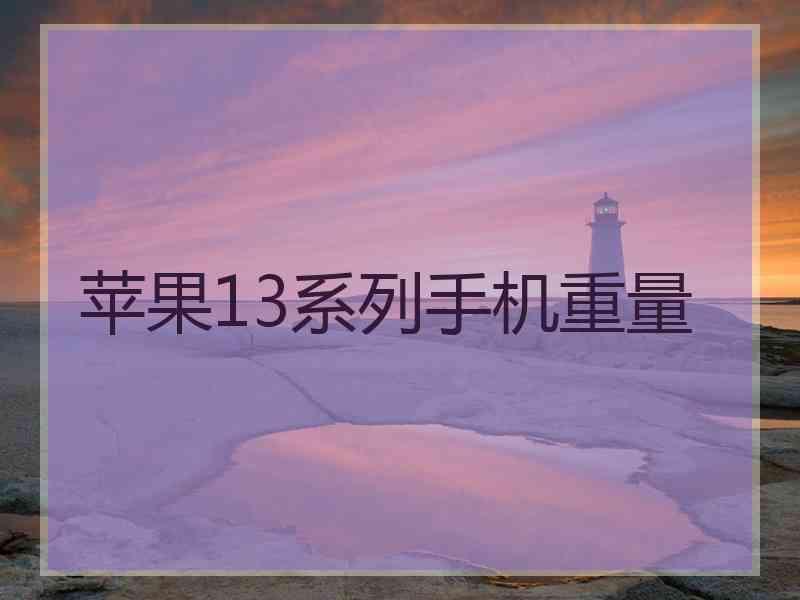 苹果13系列手机重量