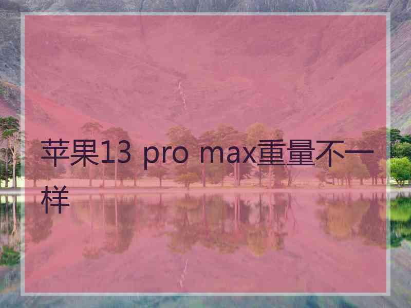 苹果13 pro max重量不一样