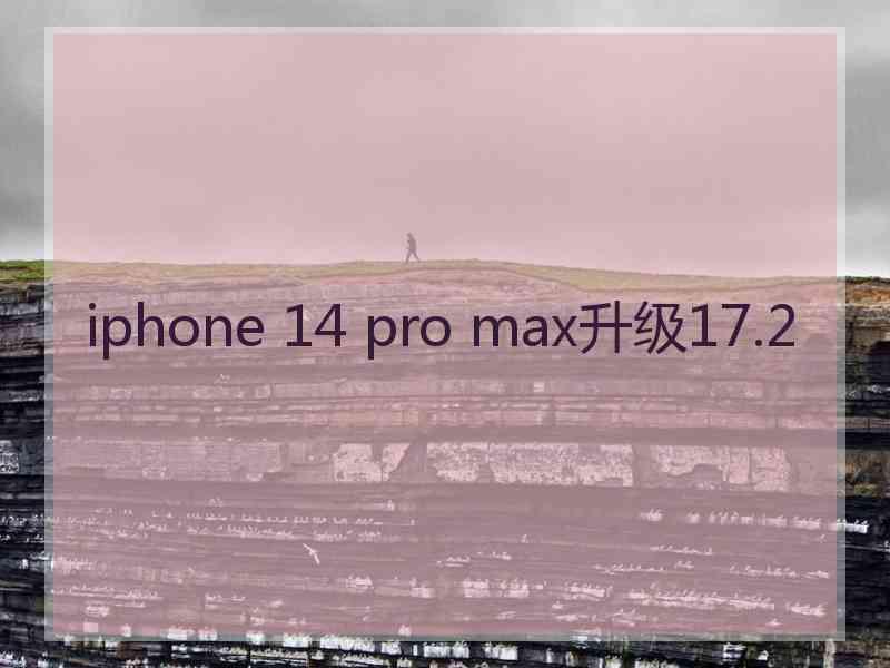 iphone 14 pro max升级17.2