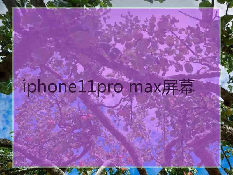 iphone11pro max屏幕