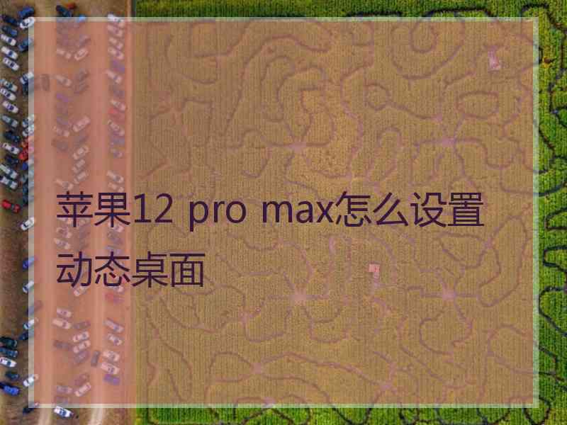 苹果12 pro max怎么设置动态桌面