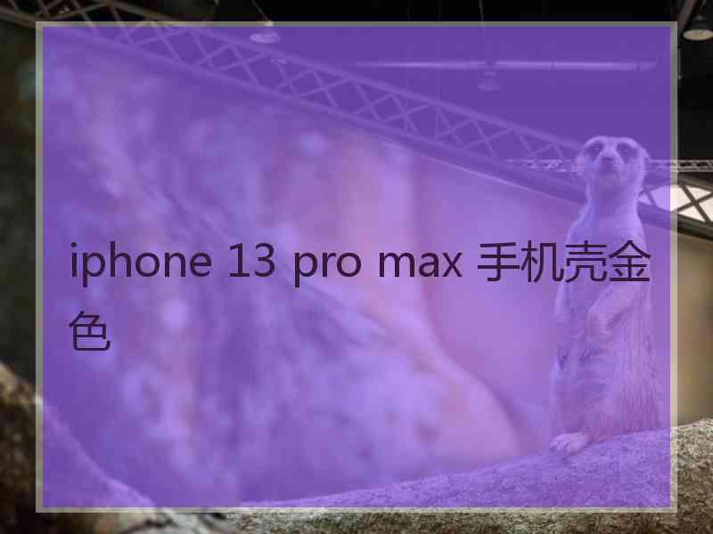 iphone 13 pro max 手机壳金色