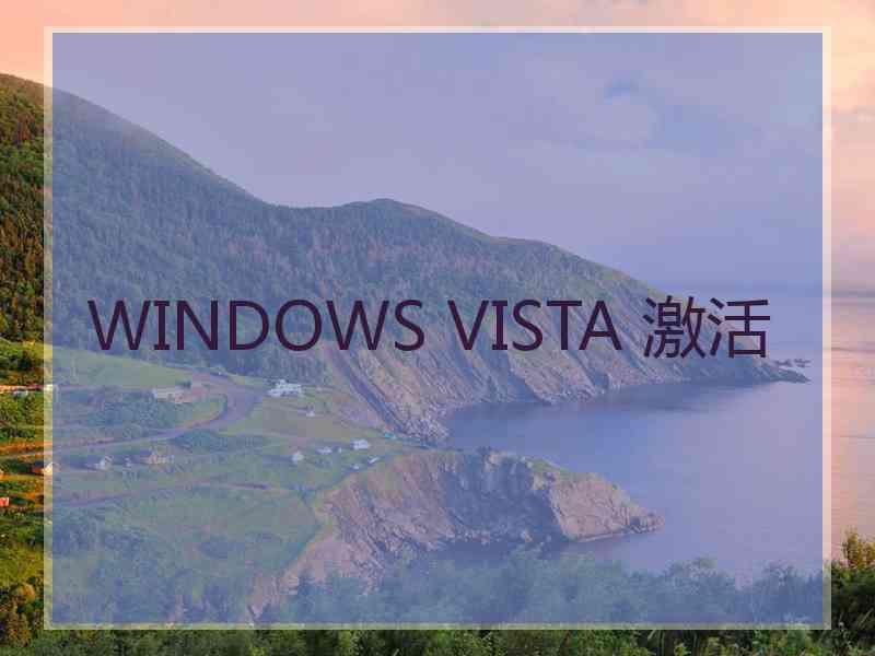 WINDOWS VISTA 激活