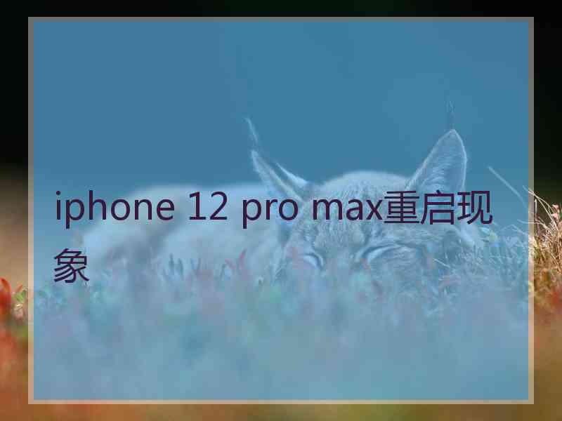 iphone 12 pro max重启现象