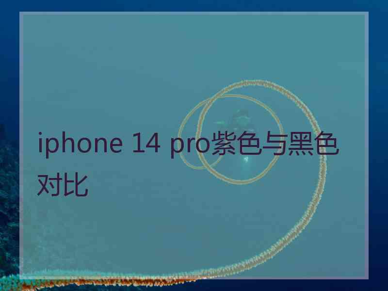 iphone 14 pro紫色与黑色对比