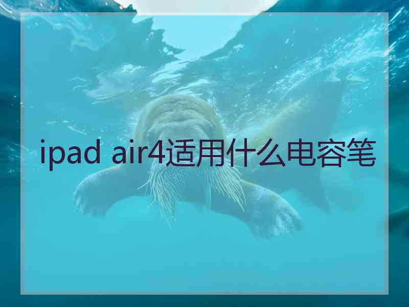 ipad air4适用什么电容笔