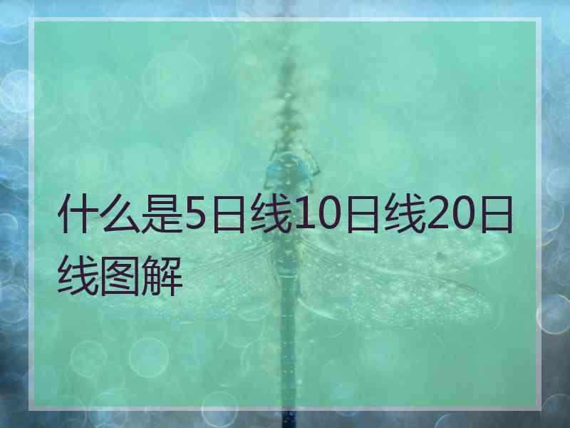 什么是5日线10日线20日线图解