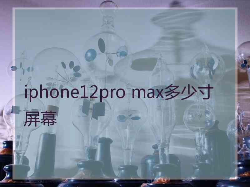 iphone12pro max多少寸屏幕