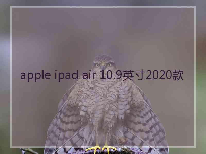 apple ipad air 10.9英寸2020款