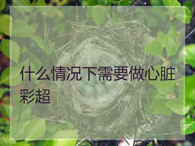 什么情况下需要做心脏彩超