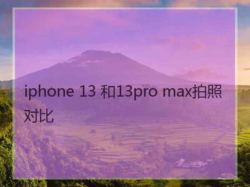 iphone 13 和13pro max拍照对比