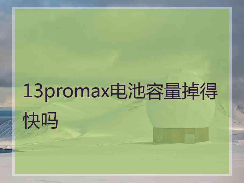 13promax电池容量掉得快吗