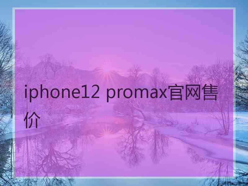 iphone12 promax官网售价