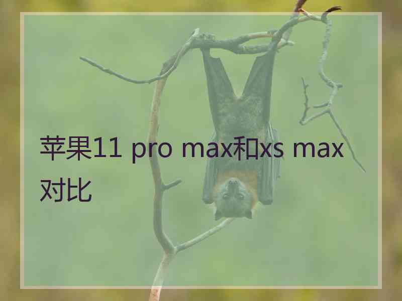 苹果11 pro max和xs max对比