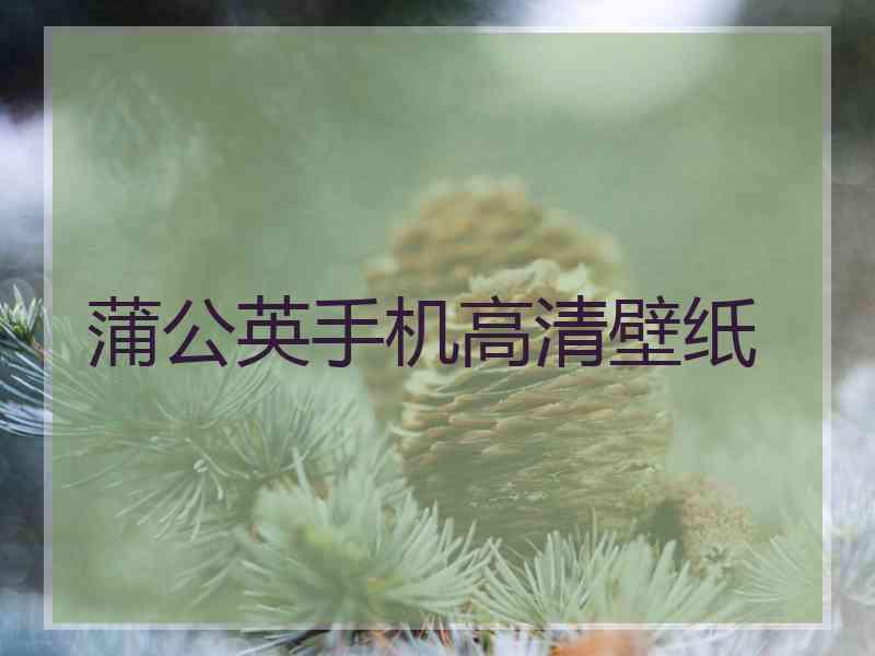 蒲公英手机高清壁纸