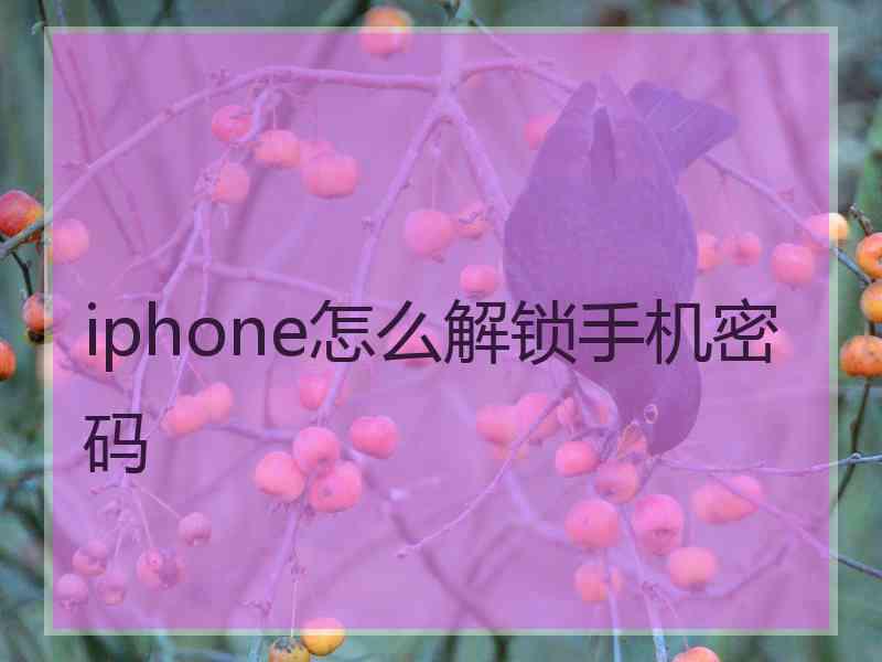 iphone怎么解锁手机密码