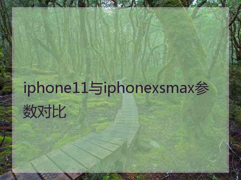 iphone11与iphonexsmax参数对比