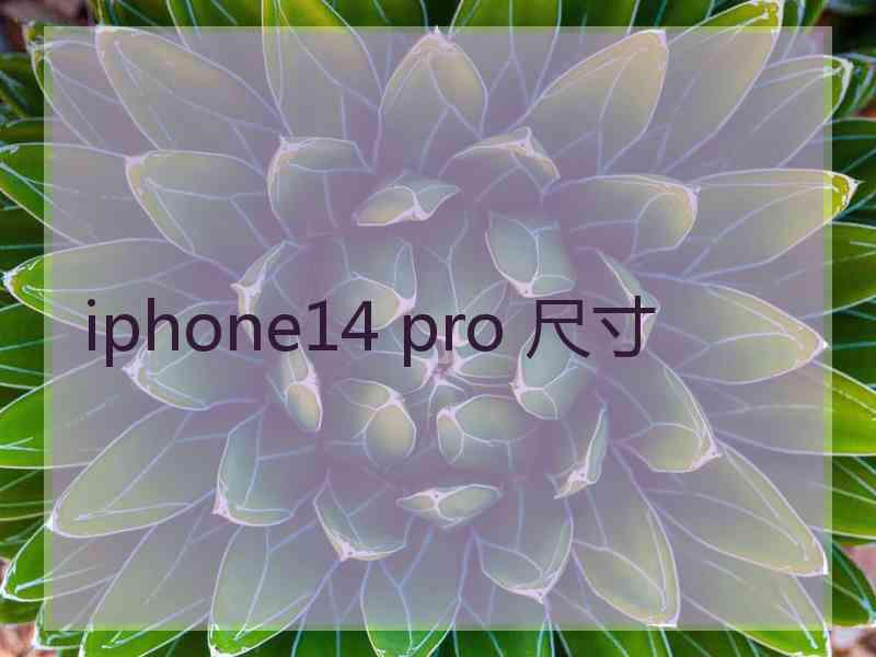 iphone14 pro 尺寸