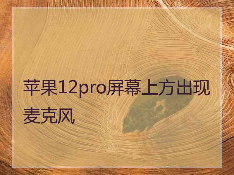 苹果12pro屏幕上方出现麦克风