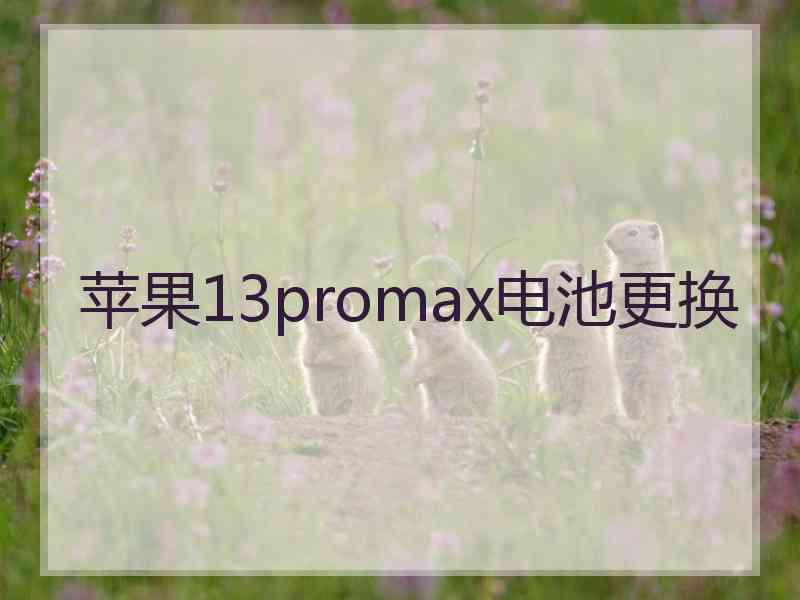 苹果13promax电池更换