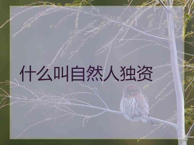 什么叫自然人独资