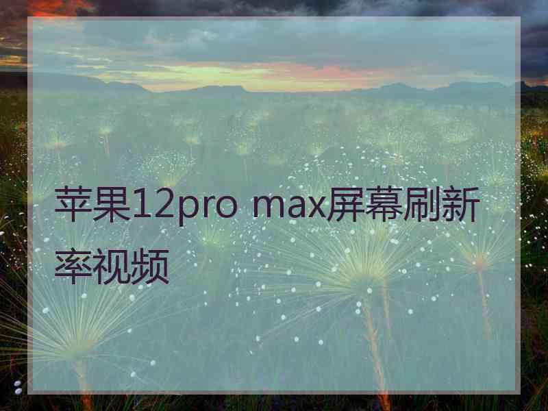 苹果12pro max屏幕刷新率视频