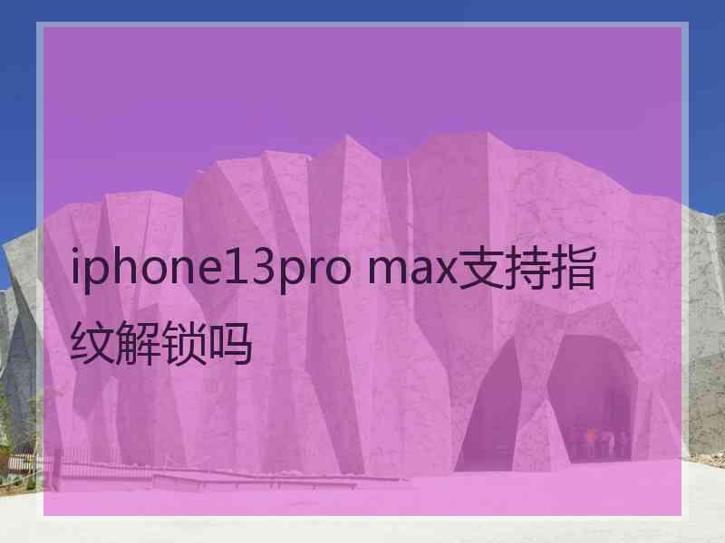 iphone13pro max支持指纹解锁吗