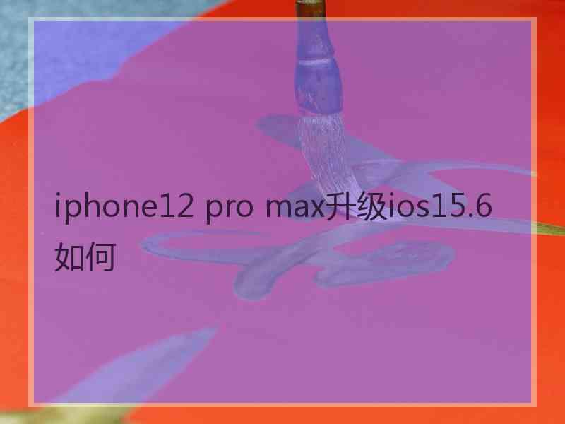 iphone12 pro max升级ios15.6如何