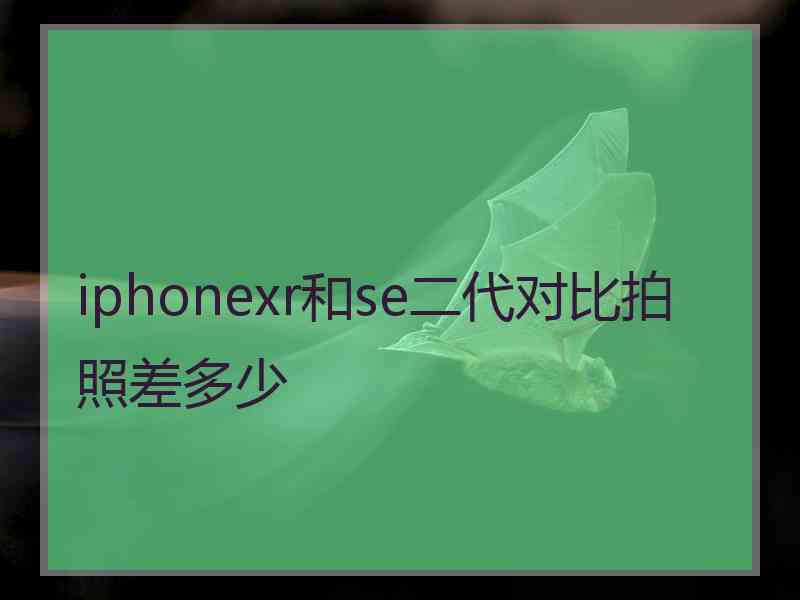 iphonexr和se二代对比拍照差多少