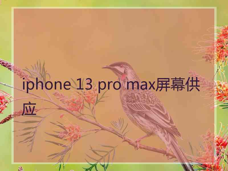 iphone 13 pro max屏幕供应