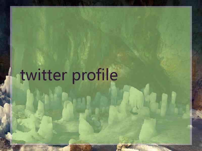 twitter profile