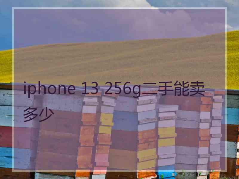 iphone 13 256g二手能卖多少