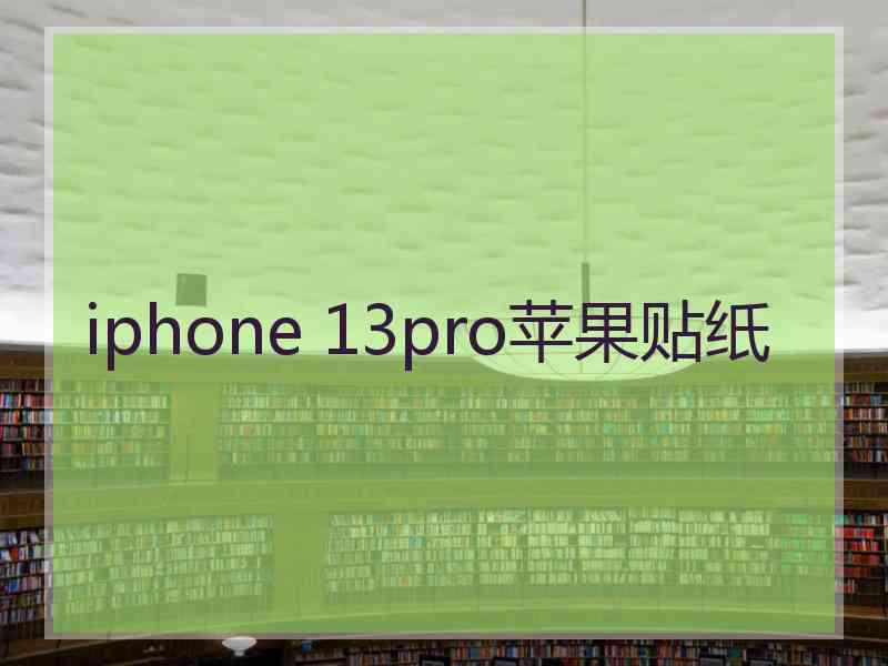 iphone 13pro苹果贴纸