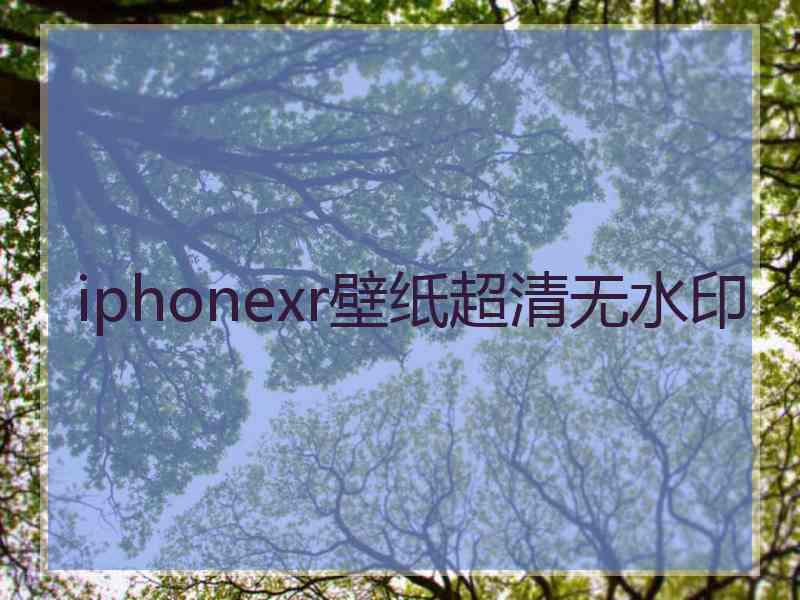 iphonexr壁纸超清无水印