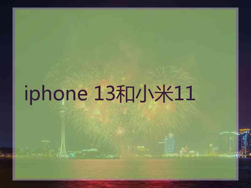 iphone 13和小米11