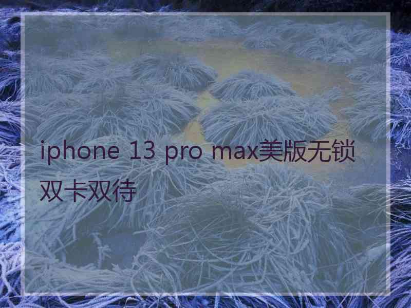 iphone 13 pro max美版无锁双卡双待