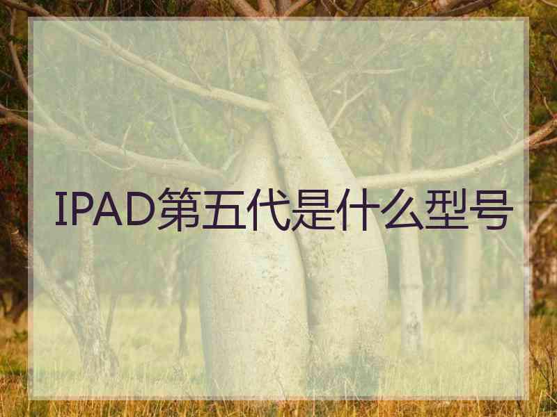 IPAD第五代是什么型号