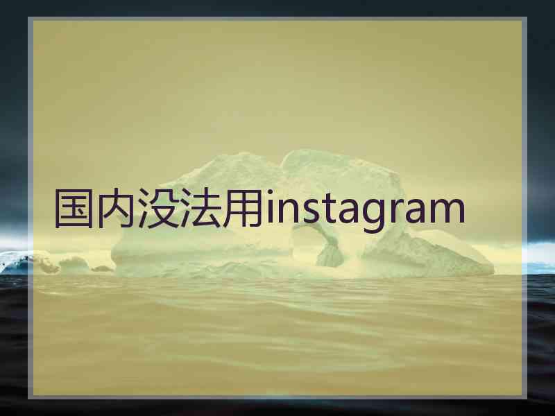 国内没法用instagram