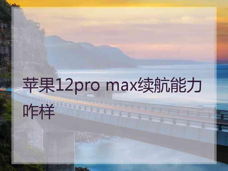 苹果12pro max续航能力咋样