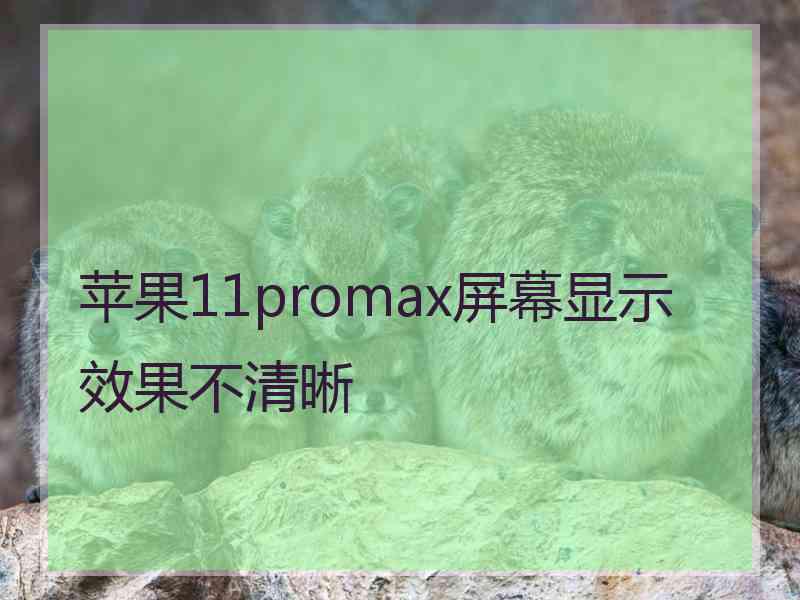 苹果11promax屏幕显示效果不清晰