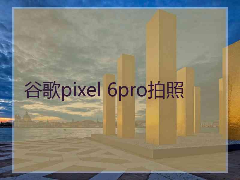 谷歌pixel 6pro拍照