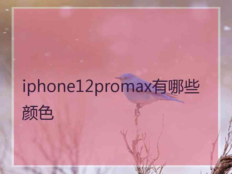 iphone12promax有哪些颜色