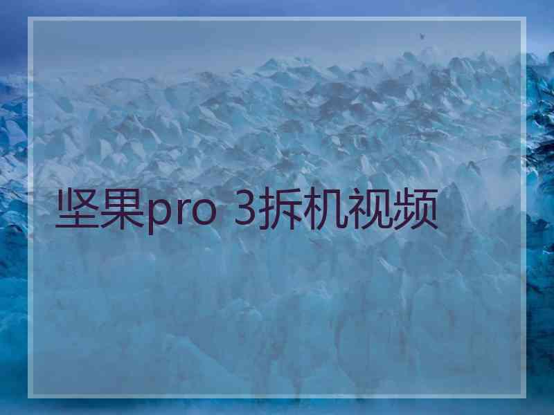 坚果pro 3拆机视频