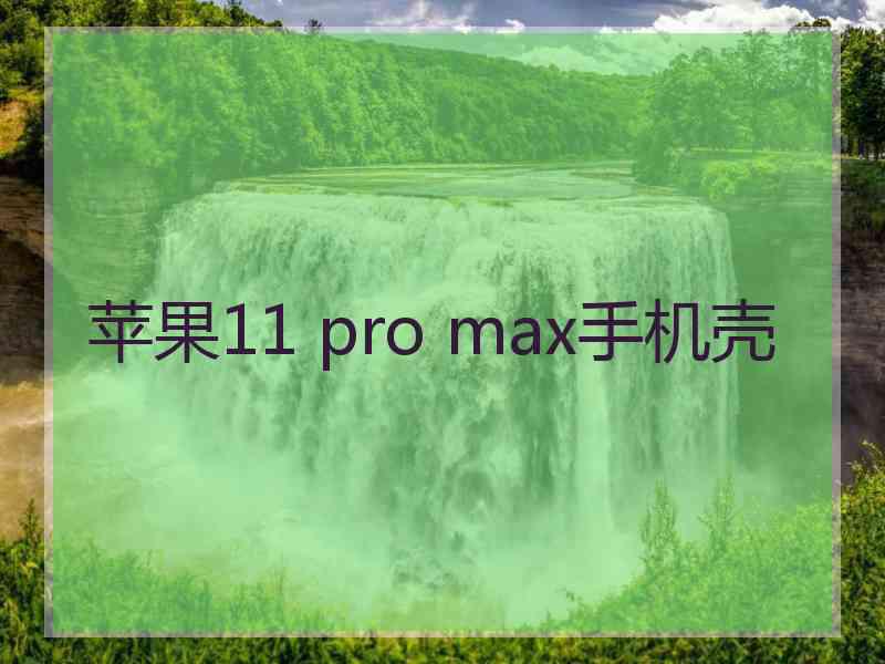 苹果11 pro max手机壳