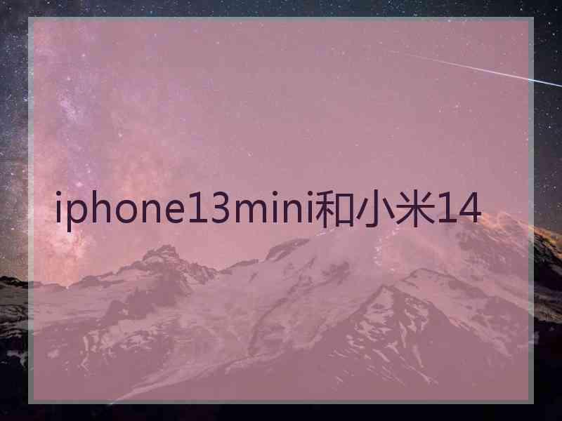 iphone13mini和小米14