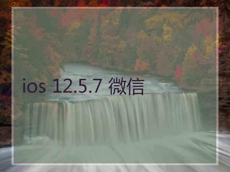 ios 12.5.7 微信